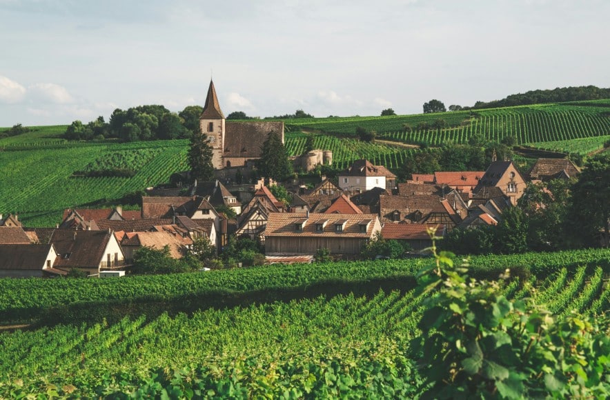 des-producteurs-passionnes-unis-pour-laube