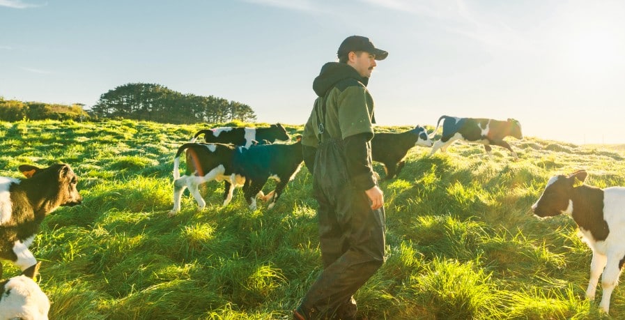 producteurs-aube-actualites-evenements-actions